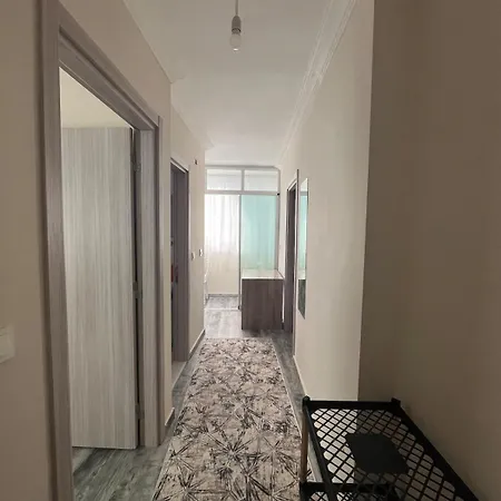 Apartment Flat In *
